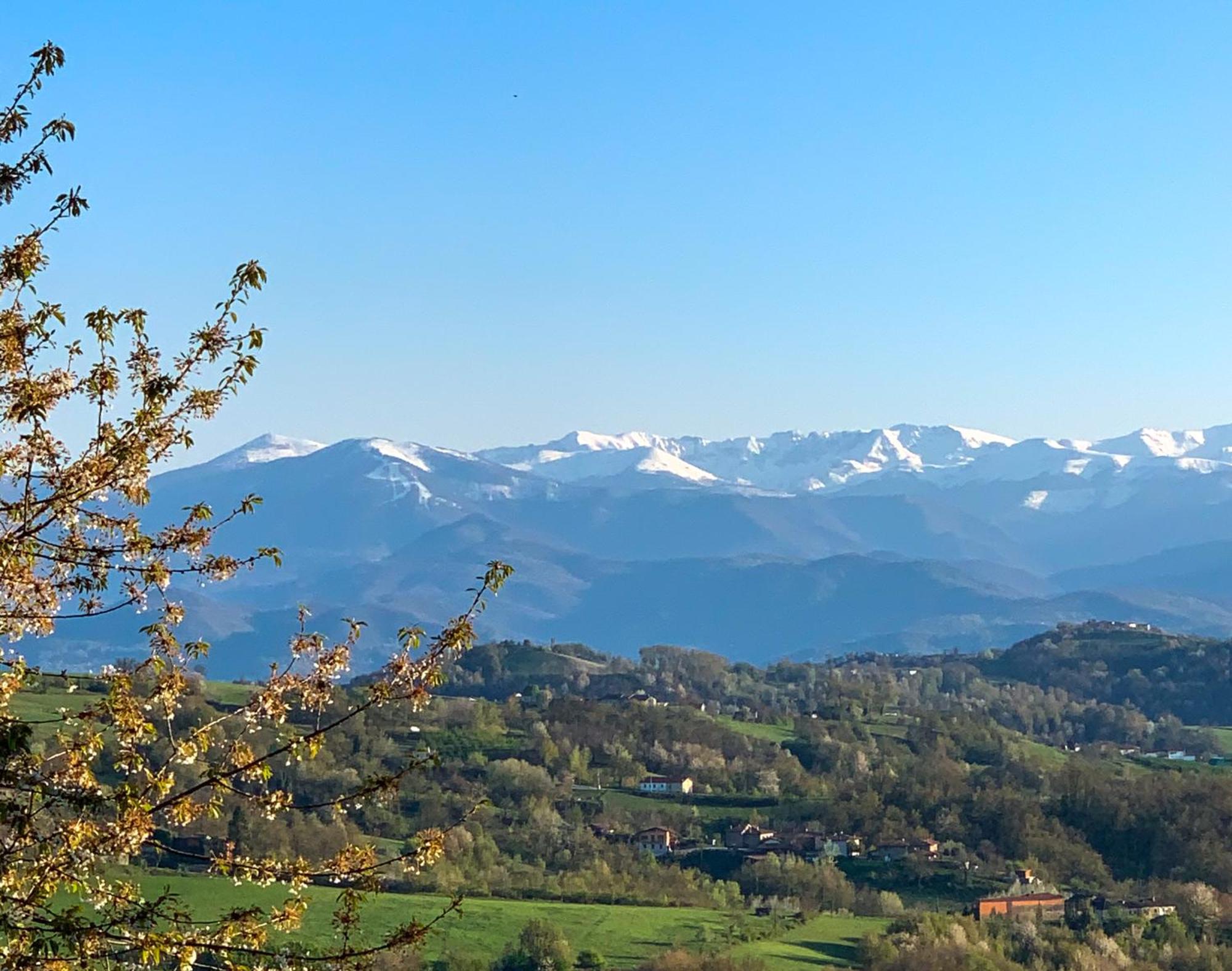 Just Langhe Casa Barolo Villa Novello Dış mekan fotoğraf