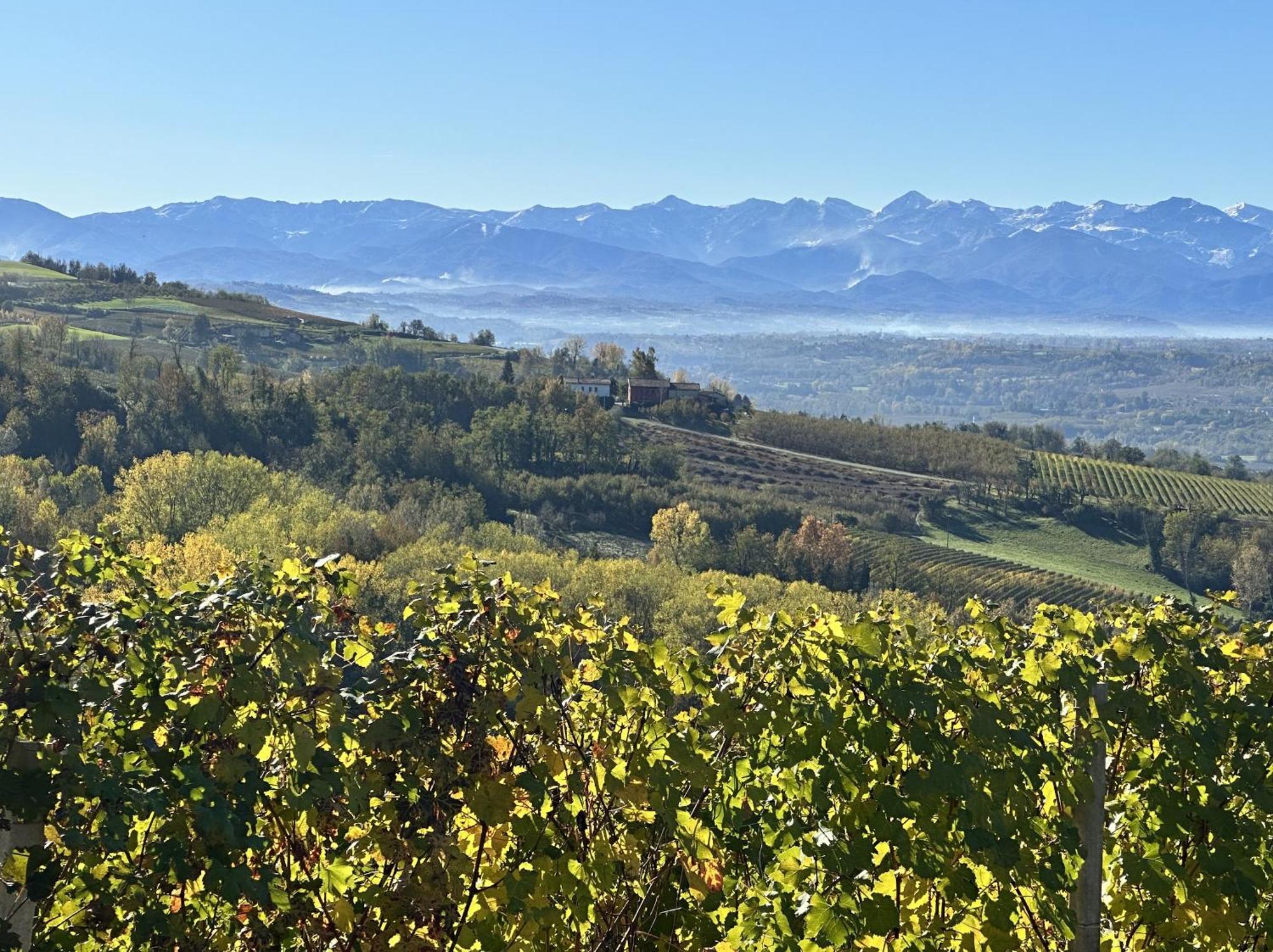 Just Langhe Casa Barolo Villa Novello Dış mekan fotoğraf
