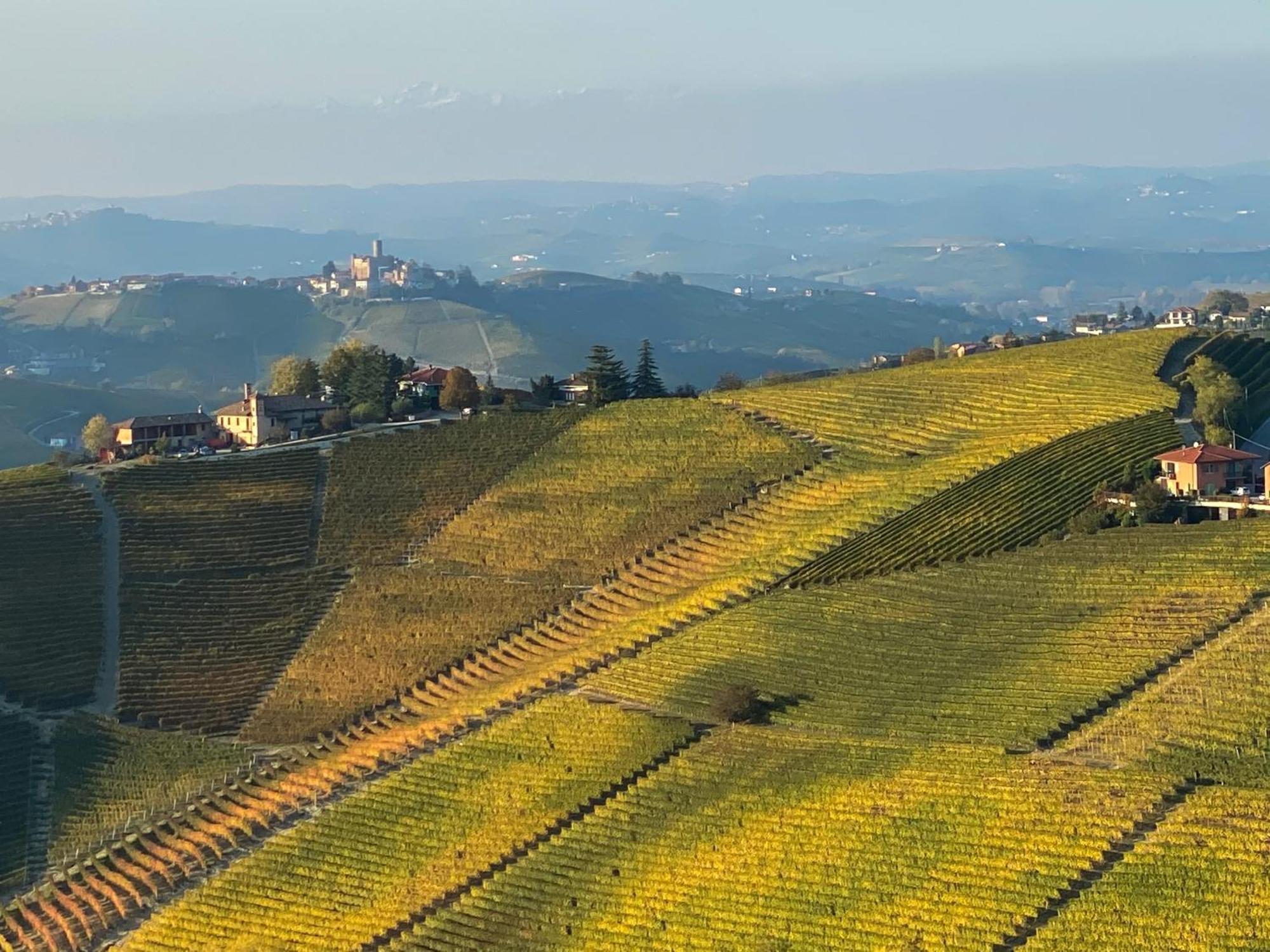 Just Langhe Casa Barolo Villa Novello Dış mekan fotoğraf
