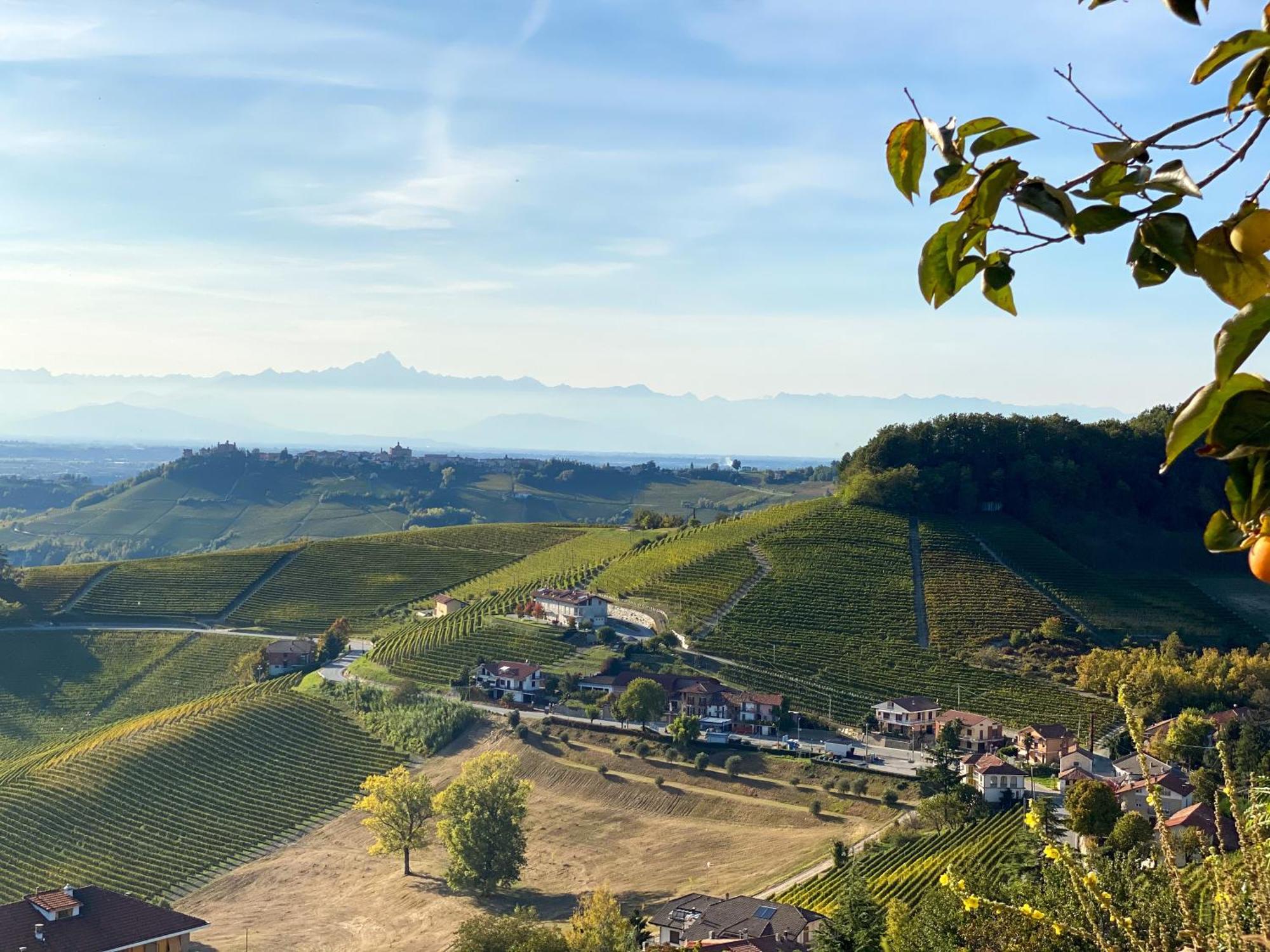 Just Langhe Casa Barolo Villa Novello Dış mekan fotoğraf