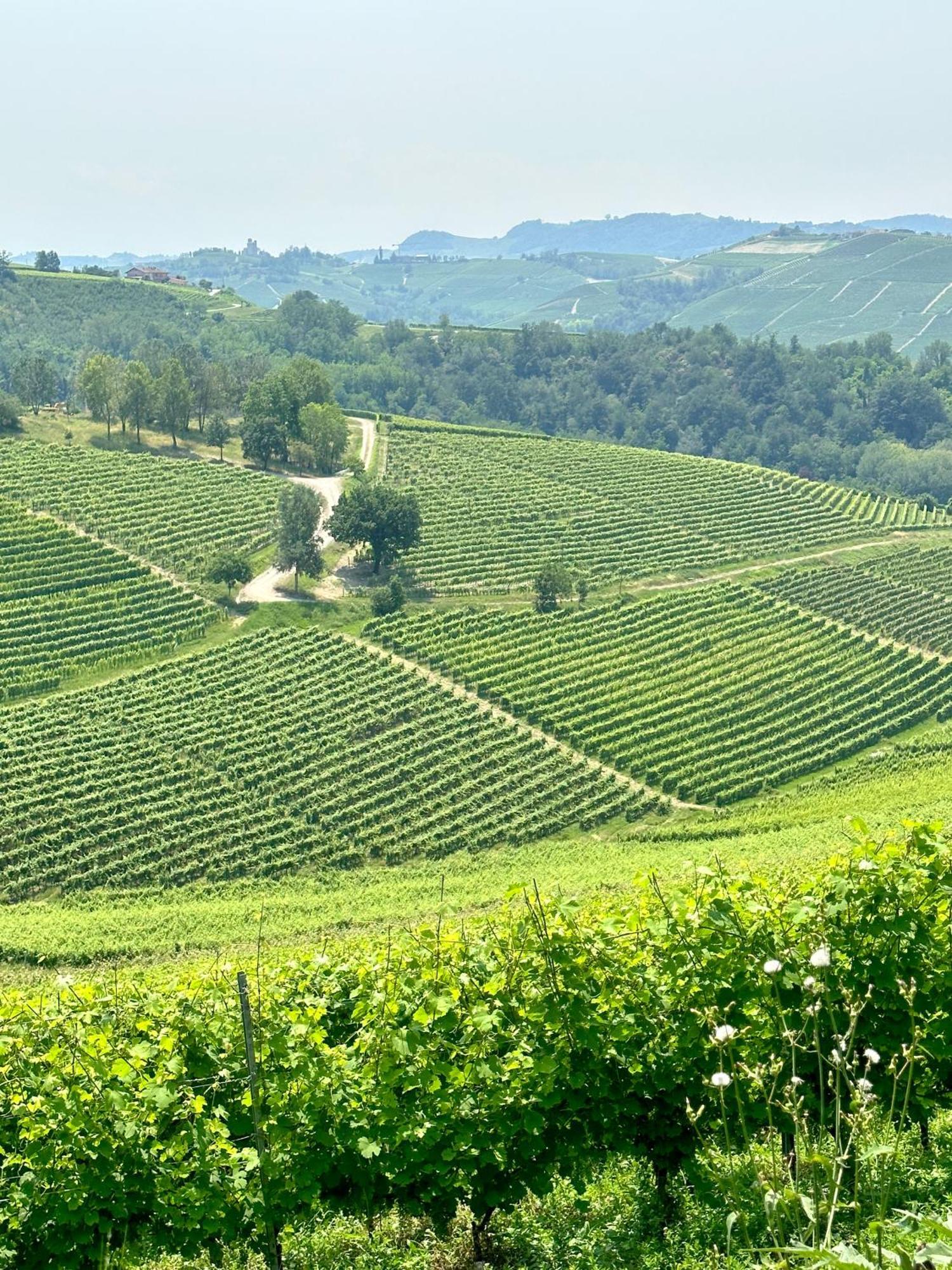 Just Langhe Casa Barolo Villa Novello Dış mekan fotoğraf